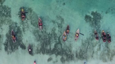 Zanzibar, Tanzanya kıyısı yakınlarındaki okyanusta dikey video tekneleri.