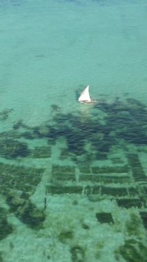 Zanzibar, Tanzanya kıyısı yakınlarındaki okyanusta dikey video tekneleri.