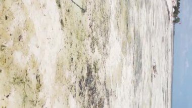 Zanzibar, Tanzanya kıyısı yakınlarındaki okyanusta dikey video tekneleri.