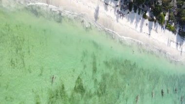 Zanzibar, Tanzanya kıyısı yakınlarındaki okyanusta dikey video tekneleri.