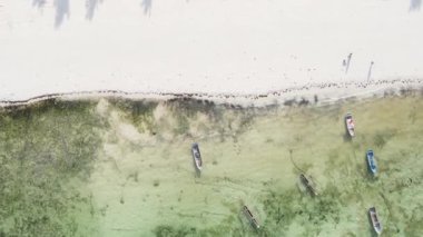 Zanzibar, Tanzanya kıyısı yakınlarındaki okyanusta dikey video tekneleri.