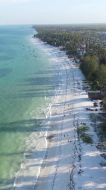 Zanzibar, Tanzanya kıyısı yakınlarındaki okyanusta dikey video tekneleri.