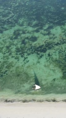 Zanzibar, Tanzanya kıyısı yakınlarındaki okyanusta dikey video tekneleri.