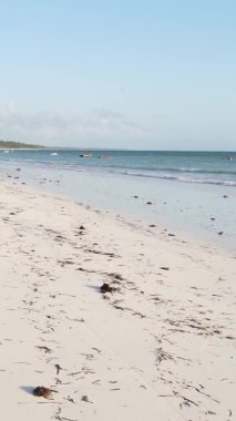 Zanzibar, Tanzanya kıyısı yakınlarındaki okyanusta dikey video tekneleri.