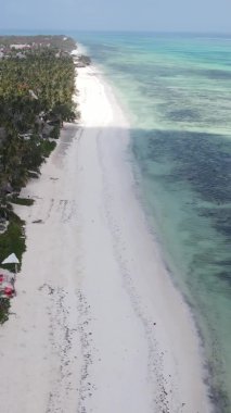 Zanzibar, Tanzanya kıyısı yakınlarındaki okyanusta dikey video tekneleri.