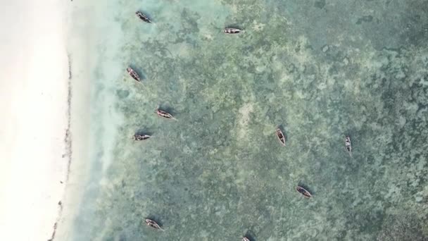 Video barcos verticales en el océano cerca de la costa de Zanzíbar, Tanzania, vista aérea — Vídeo de stock