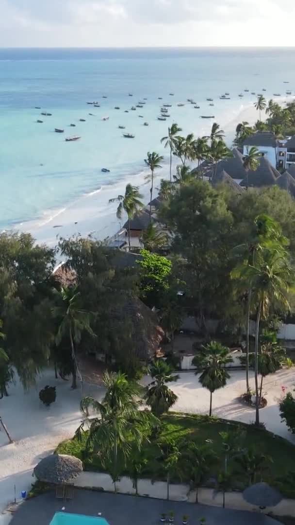 Vertical video boats in the ocean near the coast of Zanzibar, Tanzania, widok z lotu ptaka — Wideo stockowe