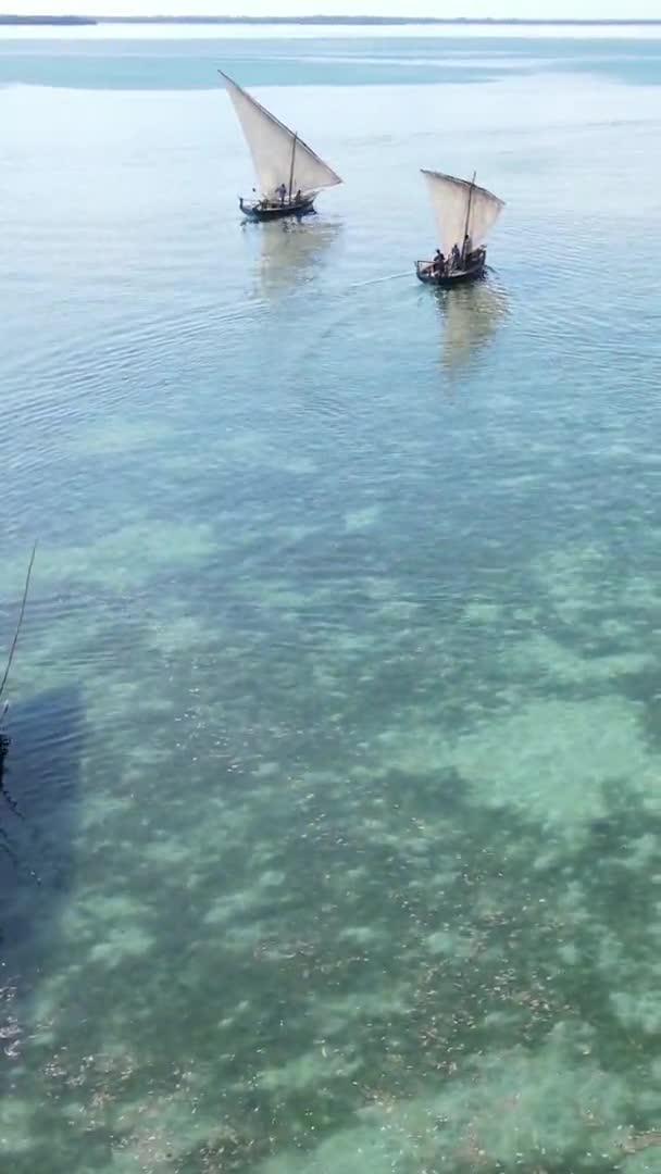 Vertikale Videoboote im Ozean vor der Küste von Sansibar, Tansania, Luftaufnahme — Stockvideo