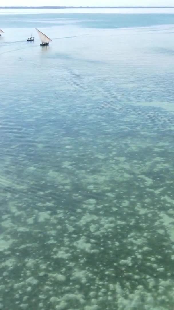 Vertikala videobåtar i havet nära kusten i Zanzibar, Tanzania, antenn utsikt — Stockvideo