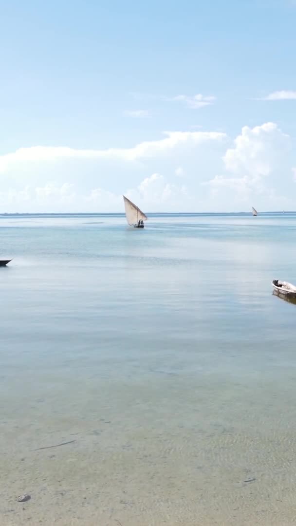 Vertical video boats in the ocean near the coast of Zanzibar, Tanzania, aerial view — Stock Video