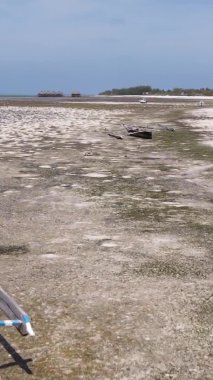Tanzanya 'nın Zanzibar kıyısındaki okyanusta alçak gelgitin dikey videosu.