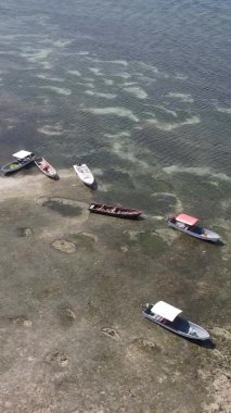 Tanzanya 'nın Zanzibar kıyısındaki okyanusta alçak gelgitin dikey videosu.