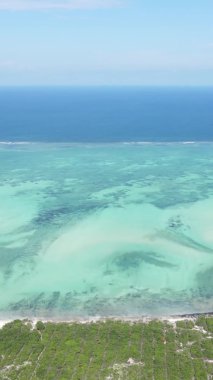 Tanzanya 'nın Zanzibar kıyısındaki okyanusta alçak gelgitin dikey videosu.