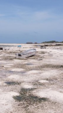 Tanzanya 'nın Zanzibar kıyısındaki okyanusta alçak gelgitin dikey videosu.