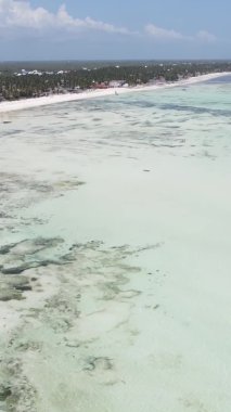 Tanzanya 'nın Zanzibar kıyısındaki okyanusta alçak gelgitin dikey videosu.