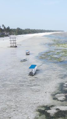 Tanzanya 'nın Zanzibar kıyısındaki okyanusta alçak gelgitin dikey videosu.