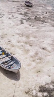 Tanzanya 'nın Zanzibar kıyısındaki okyanusta alçak gelgitin dikey videosu.