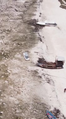 Tanzanya 'nın Zanzibar kıyısındaki okyanusta alçak gelgitin dikey videosu.