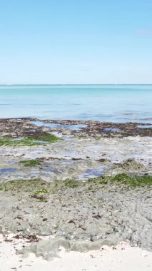 Tanzanya 'nın Zanzibar kıyısındaki okyanusta alçak gelgitin dikey videosu.