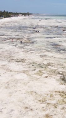 Tanzanya 'nın Zanzibar kıyısındaki okyanusta alçak gelgitin dikey videosu.