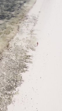 Tanzanya 'nın Zanzibar kıyısındaki okyanusta alçak gelgitin dikey videosu.