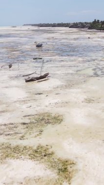 Tanzanya 'nın Zanzibar kıyısındaki okyanusta alçak gelgitin dikey videosu.