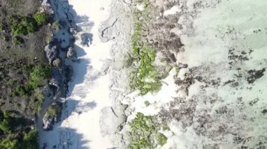Tanzanya 'nın Zanzibar kıyısındaki okyanusta alçak gelgitin dikey videosu.
