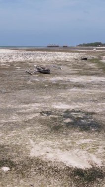 Tanzanya 'nın Zanzibar kıyısındaki okyanusta alçak gelgitin dikey videosu.