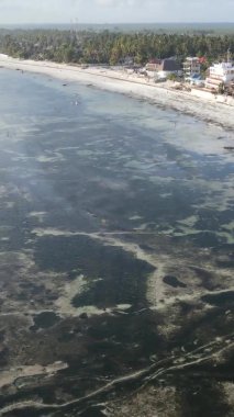 Tanzanya 'nın Zanzibar kıyısındaki okyanusta alçak gelgitin dikey videosu.