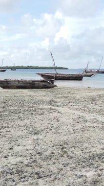 Tanzanya 'nın Zanzibar kıyısındaki okyanusta alçak gelgitin dikey videosu.