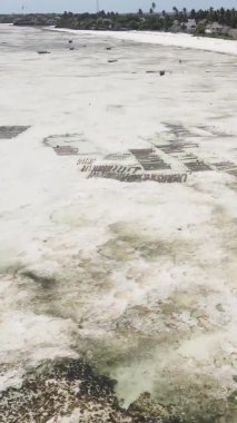 Tanzanya 'nın Zanzibar kıyısındaki okyanusta alçak gelgitin dikey videosu.