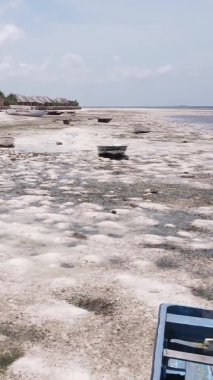 Tanzanya 'nın Zanzibar kıyısındaki okyanusta alçak gelgitin dikey videosu.
