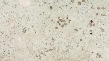 Tanzanya 'nın Zanzibar kıyısındaki okyanusta alçak gelgitin dikey videosu.