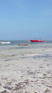 Tanzanya 'nın Zanzibar kıyısındaki okyanusta alçak gelgitin dikey videosu.