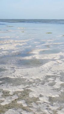 Tanzanya 'nın Zanzibar kıyısındaki okyanusta alçak gelgitin dikey videosu.