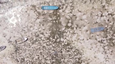 Tanzanya 'nın Zanzibar kıyısındaki okyanusta alçak gelgitin dikey videosu.