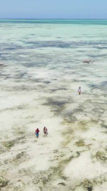 Tanzanya 'nın Zanzibar kıyısındaki okyanusta alçak gelgitin dikey videosu.