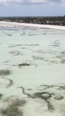 Tanzanya 'nın Zanzibar kıyısındaki okyanusta alçak gelgitin dikey videosu.
