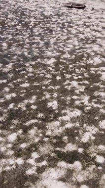 Tanzanya 'nın Zanzibar kıyısındaki okyanusta alçak gelgitin dikey videosu.