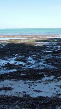 Tanzanya 'nın Zanzibar kıyısındaki okyanusta alçak gelgitin dikey videosu.