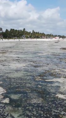Tanzanya 'nın Zanzibar kıyısındaki okyanusta alçak gelgitin dikey videosu.