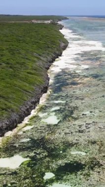 Tanzanya 'nın Zanzibar kıyısındaki okyanusta alçak gelgitin dikey videosu.