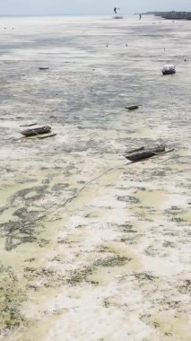Tanzanya 'nın Zanzibar kıyısındaki okyanusta alçak gelgitin dikey videosu.