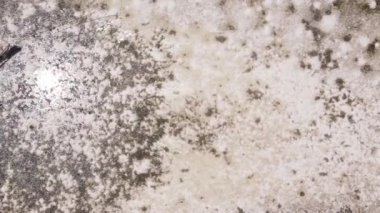 Tanzanya 'nın Zanzibar kıyısındaki okyanusta alçak gelgitin dikey videosu.