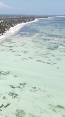 Tanzanya 'nın Zanzibar kıyısındaki okyanusta alçak gelgitin dikey videosu.