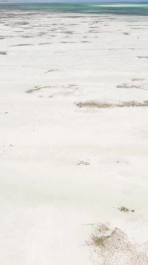 Tanzanya 'nın Zanzibar kıyısındaki okyanusta alçak gelgitin dikey videosu.