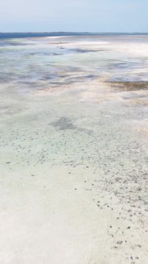 Tanzanya 'nın Zanzibar kıyısındaki okyanusta alçak gelgitin dikey videosu.