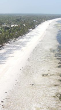 Tanzanya 'nın Zanzibar kıyısındaki okyanusta alçak gelgitin dikey videosu.