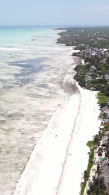 Tanzanya 'nın Zanzibar kıyısındaki okyanusta alçak gelgitin dikey videosu.