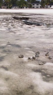 Tanzanya 'nın Zanzibar kıyısındaki okyanusta alçak gelgitin dikey videosu.